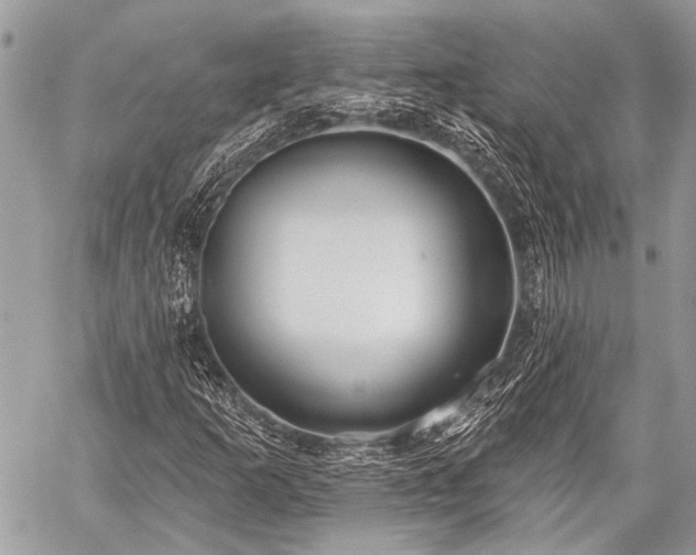 X0000059241253200510171422