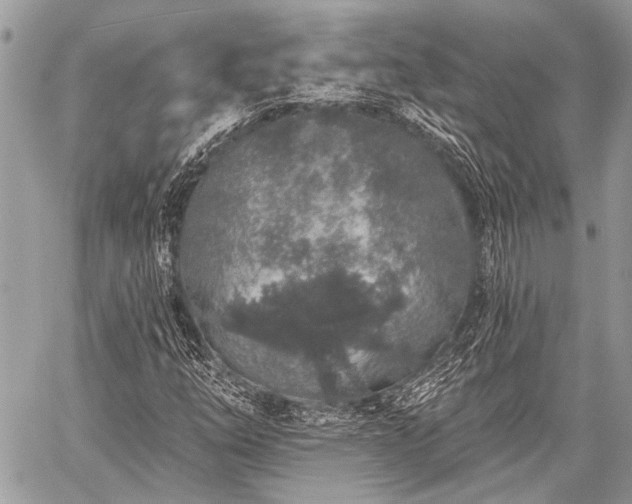 X0000059241254200510171422