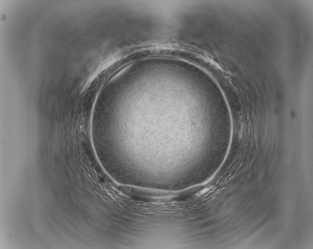 X0000059241255200510171422