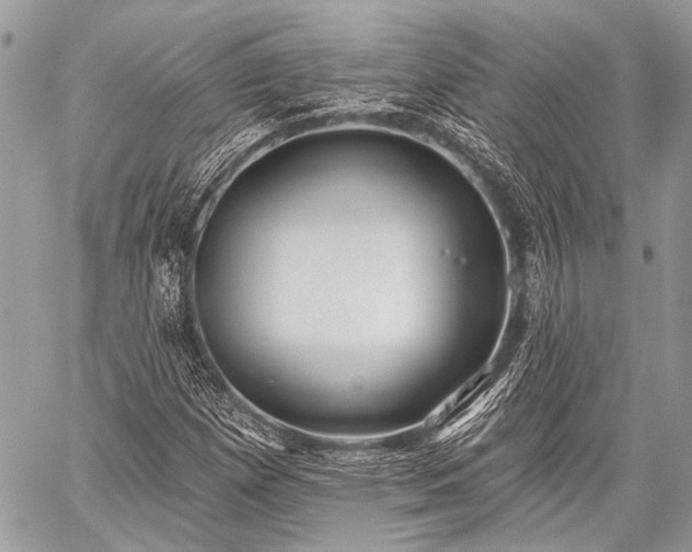 X0000059241257200510171422