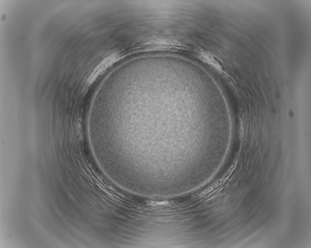 X0000059241259200510171422