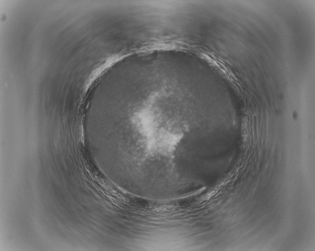 X0000059241262200510171422