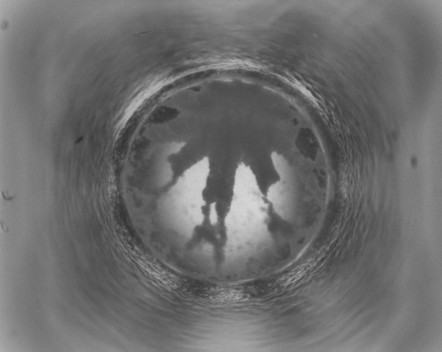 X0000059241263200510171422