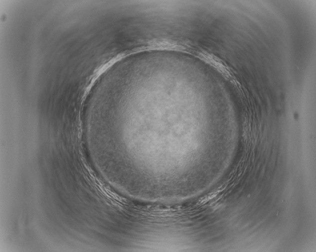 X0000059241264200510171422