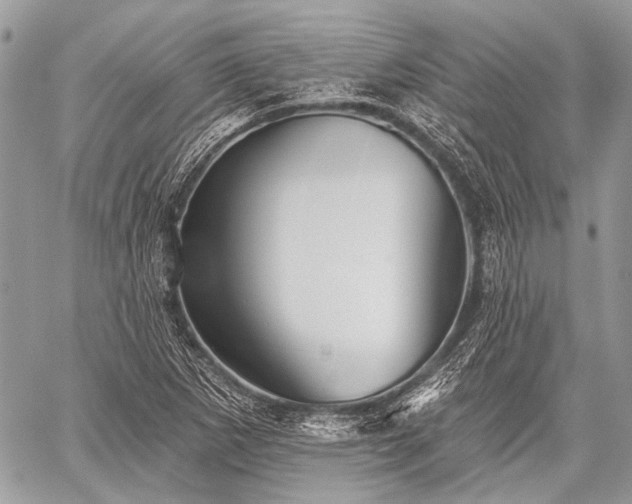 X0000059241265200510171422