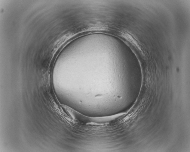 X0000059241268200510171422