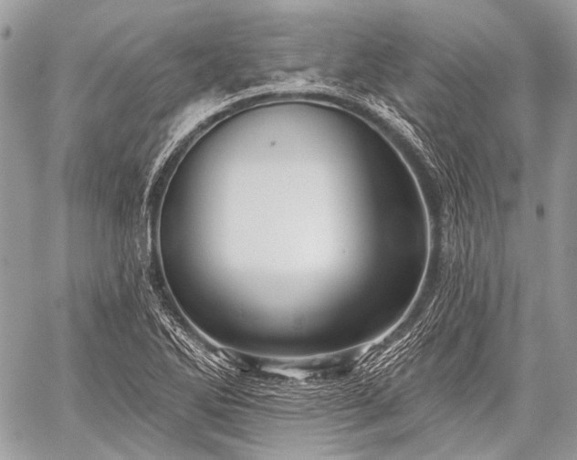 X0000059241270200510171422