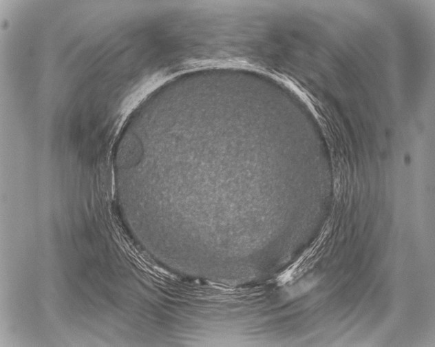 X0000059241271200510171422