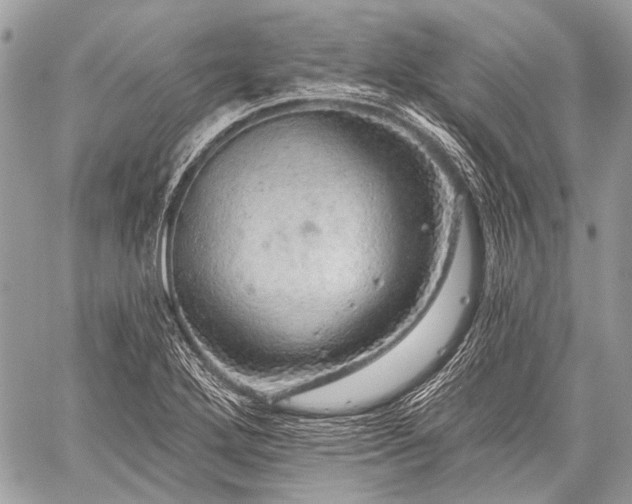 X0000059241272200510171422