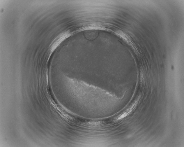 X0000059241274200510171422