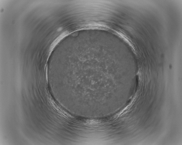 X0000059241275200510171422