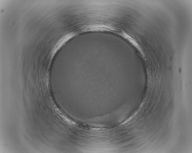 X0000059241277200510171422