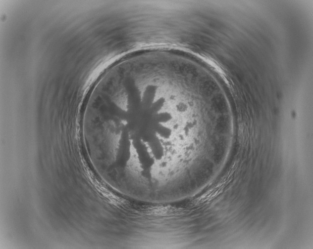 X0000059241279200510171422