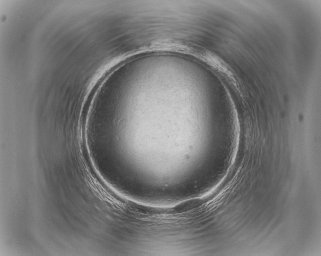 X0000059241280200510171422