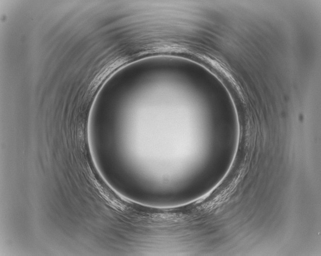 X0000059241281200510171422