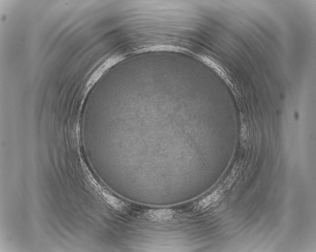 X0000059241282200510171421