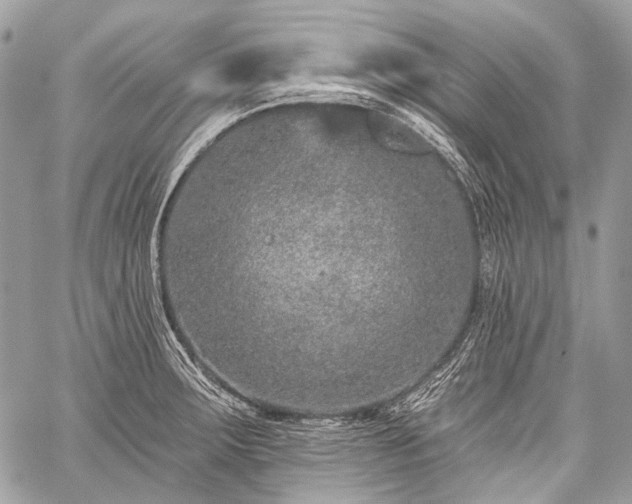 X0000059241283200510171421