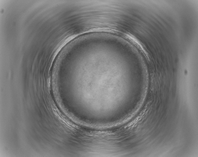 X0000059241284200510171421