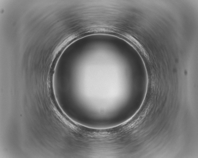 X0000059241285200510171421