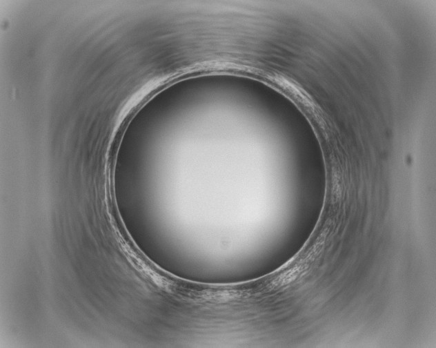 X0000059241286200510171421