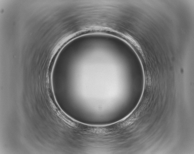 X0000059241287200510171421