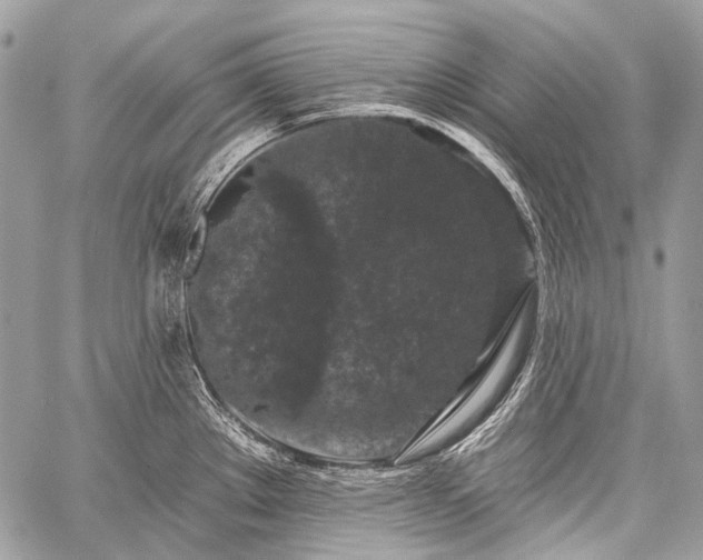 X0000059241289200510171421