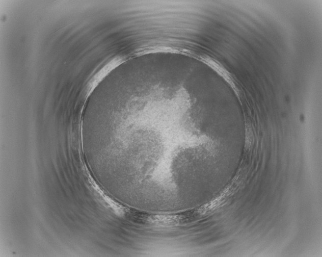 X0000059241290200510171421