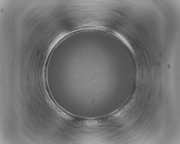 X0000059241291200510171421