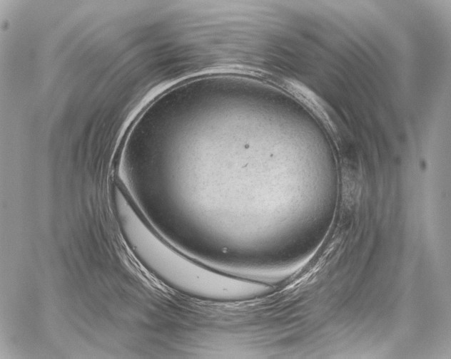 X0000059241292200510171421