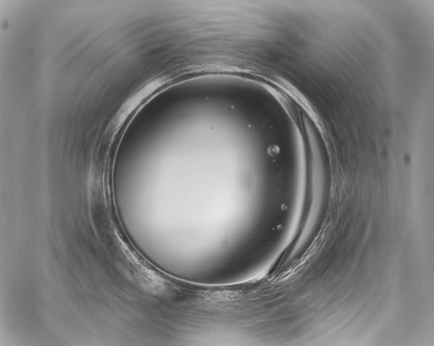 X0000059241293200510171421