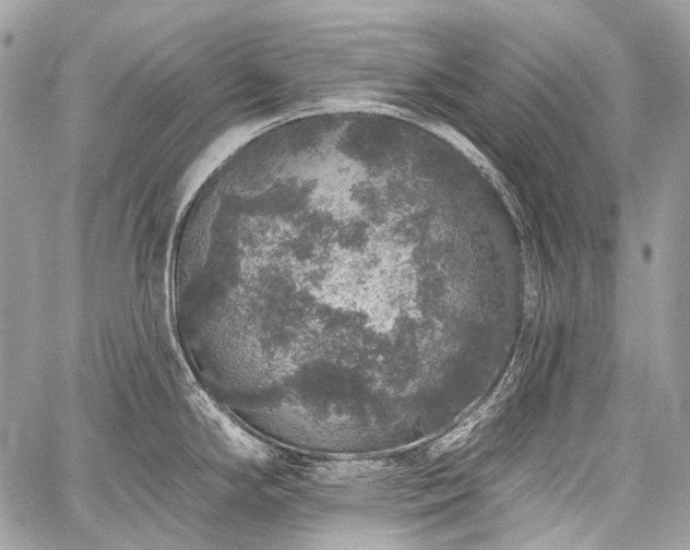 X0000059241294200510171421