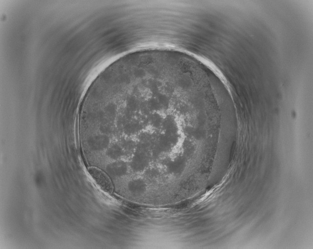 X0000059241295200510171421