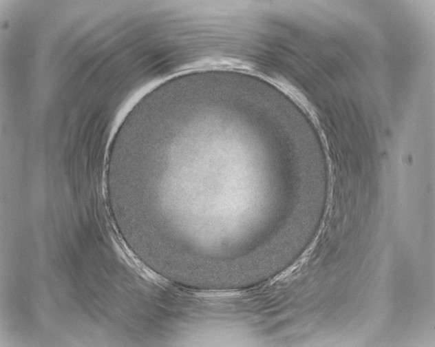 X0000059241296200510171421