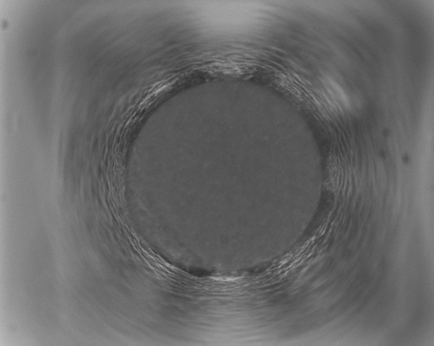 X0000059241297200510171420