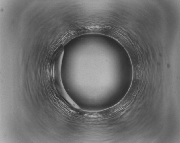 X0000059241298200510171420