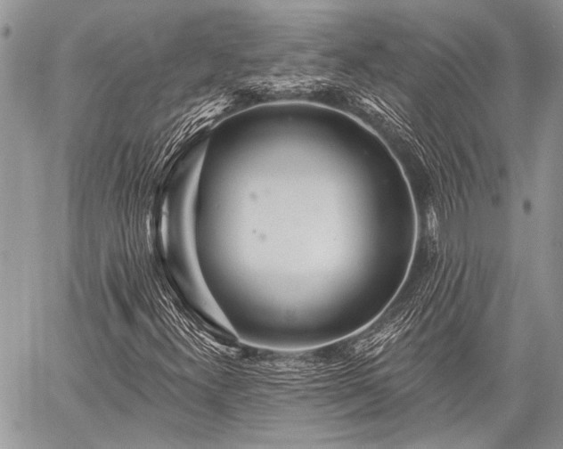 X0000059241300200510171420