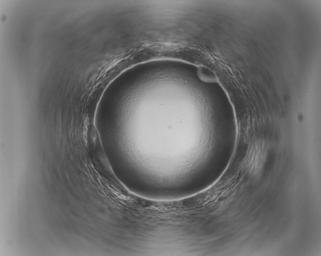 X0000059241301200510171420