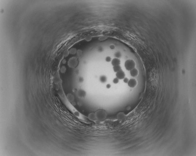 X0000059241302200510171420