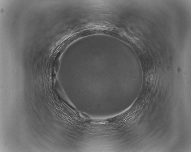 X0000059241303200510171420