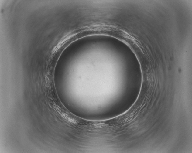 X0000059241304200510171421