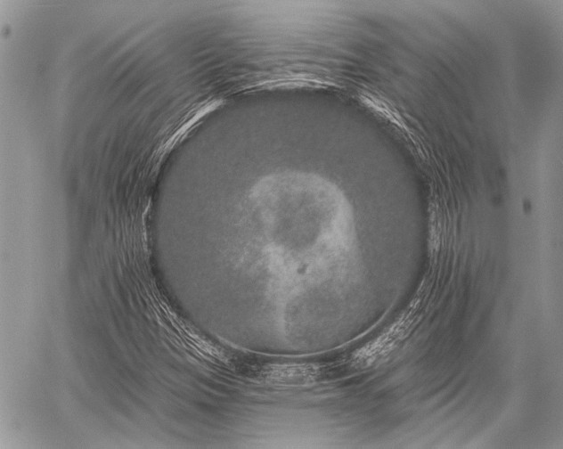 X0000059241305200510171421