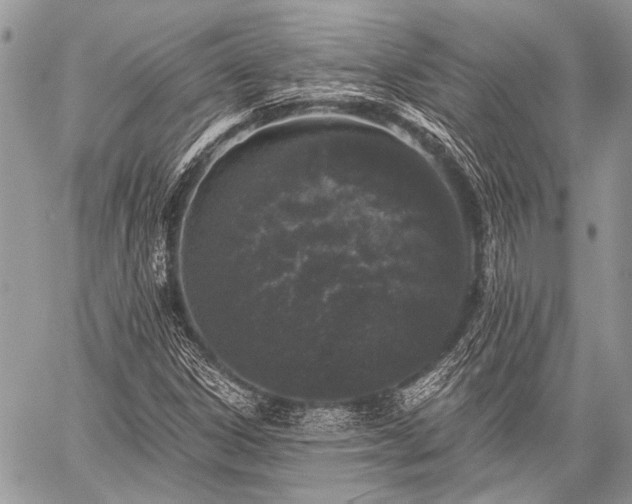 X0000059241306200510171421