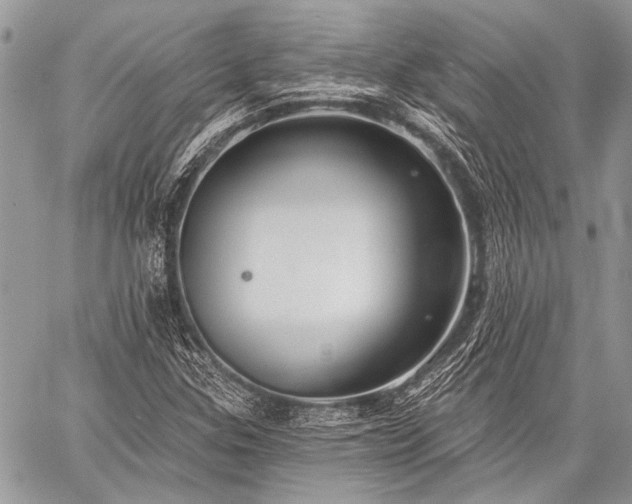 X0000059241307200510171421