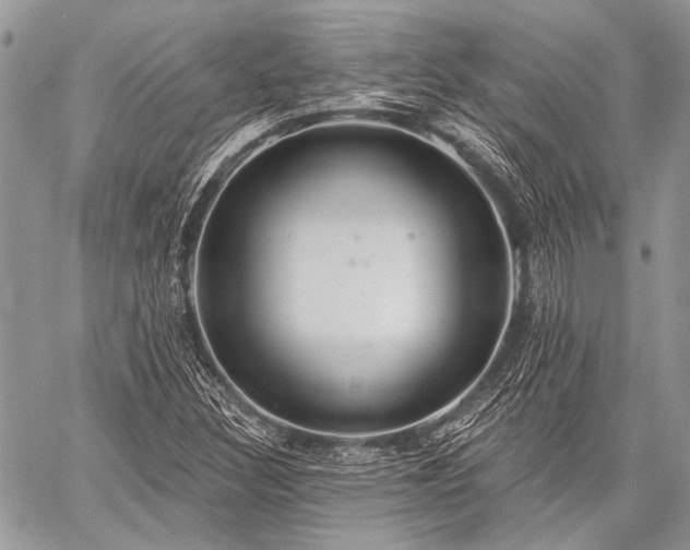 X0000059241308200510171421