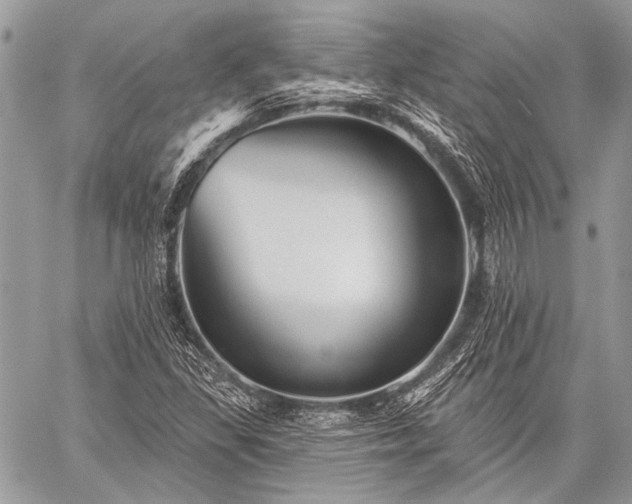 X0000059241309200510171421