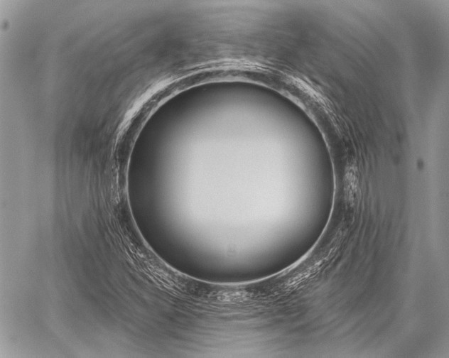 X0000059241310200510171421