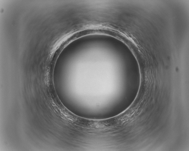 X0000059241311200510171421