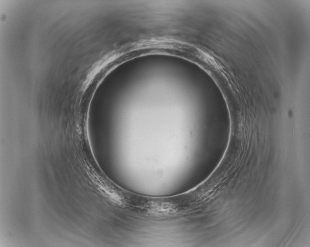 X0000059241312200510171421