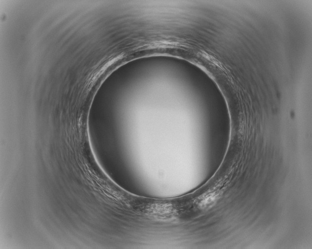 X0000059241313200510171421