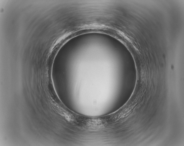 X0000059241315200510171421